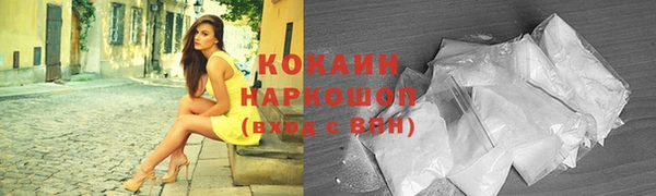 индика Аркадак