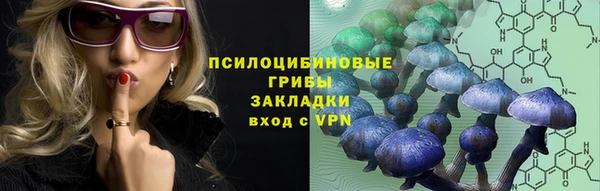 индика Аркадак