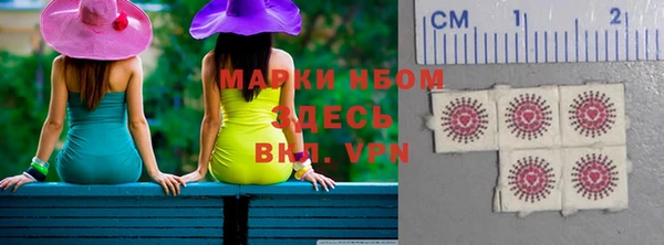 индика Аркадак