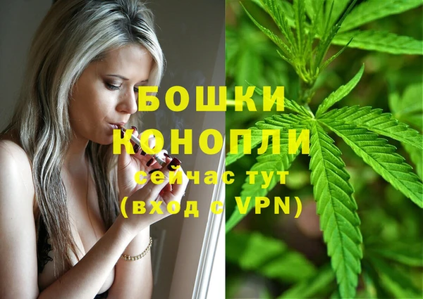 МДПВ Арсеньев