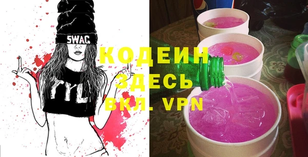 индика Аркадак