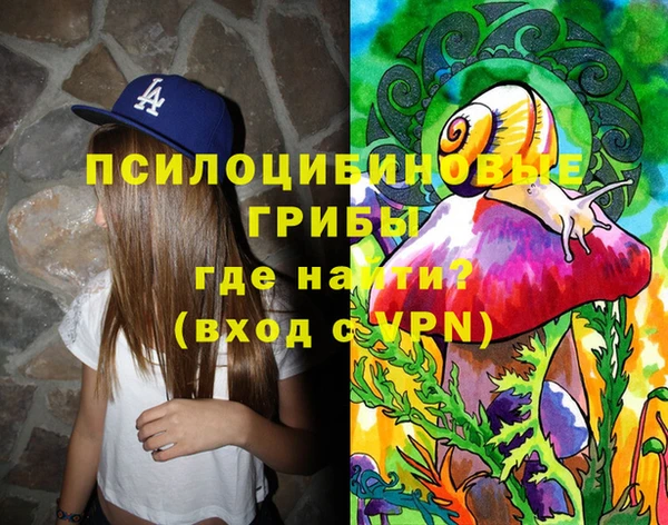 индика Аркадак